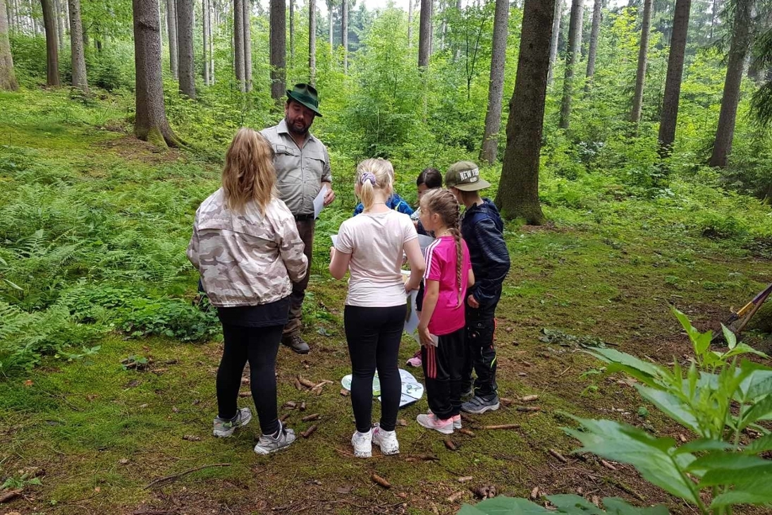 Endlich wieder gemeinsam im Wald lernen – Schülerinnen und Schüler der Klasse 3a der Baumgartengrundschule Chemnitz/Grüna bei der Eröffnung der Waldjugendspiele 2021.