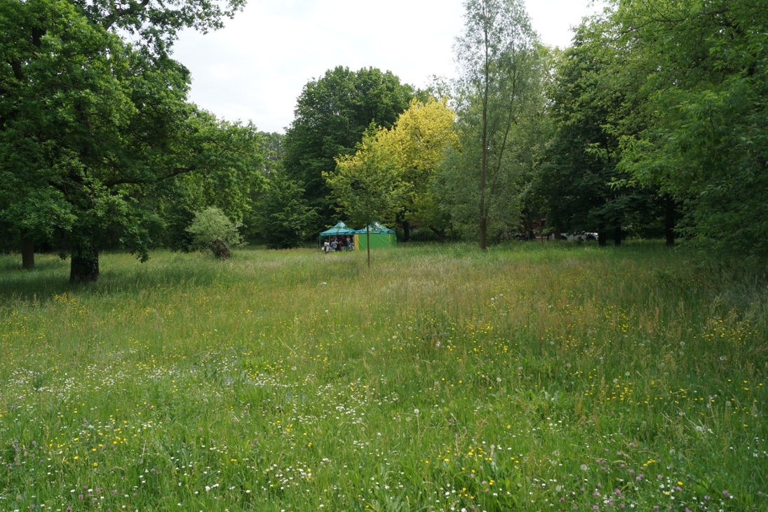 Veranstaltung am Rande einer Schmetterlingswiese im Park Eilenburg