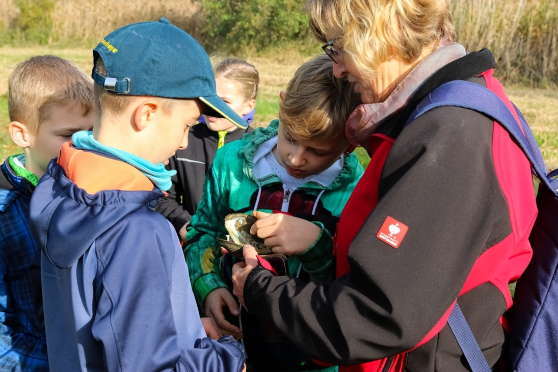 Junge Naturwächter der Naturschutzstation Weiditz e.V. untersuchen gemeinsam eine Muschelschale.