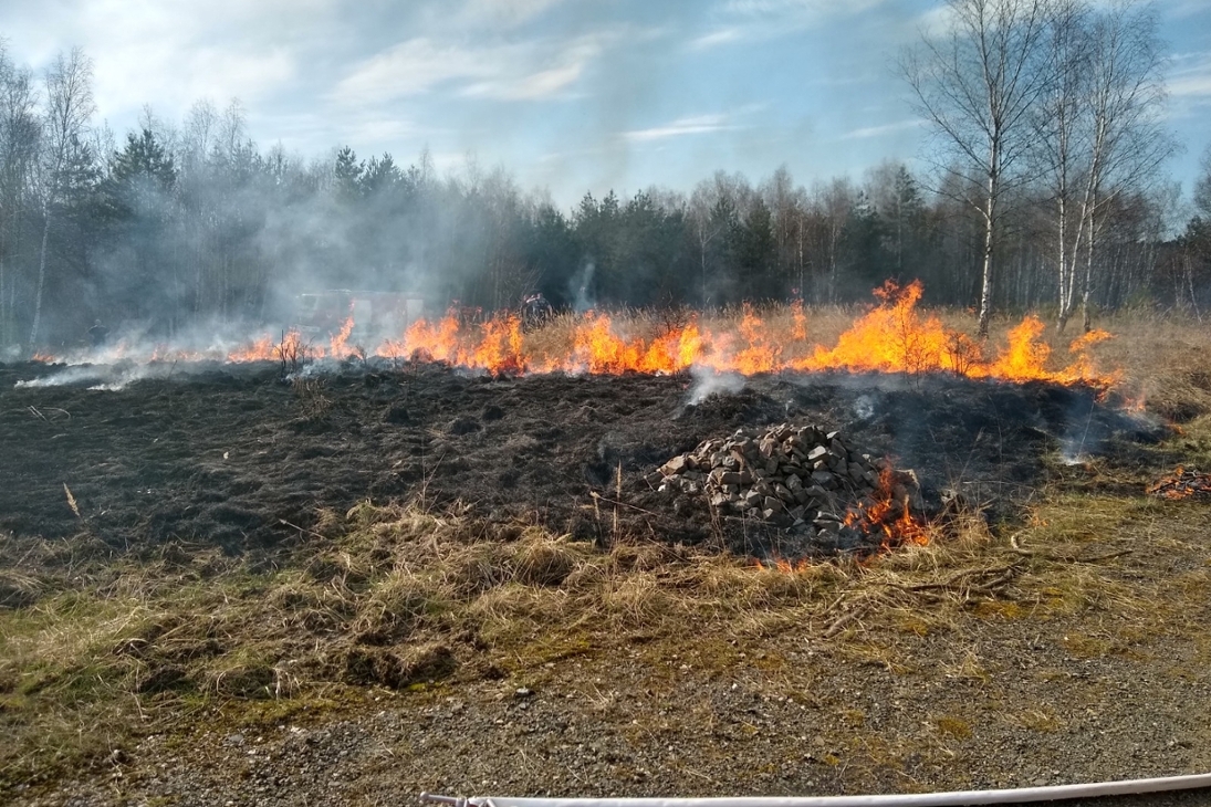 Im März 2021 wurde eine Wiese auf der stiftungseigen Fläche der LaNU eine Wiese abgebrannt.