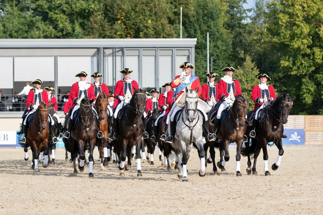 Die Große Dressurquadrille mit 25 Reitpferdehengsten, geritten in historischen Uniformen, ist ein fester Programmpunkt der Moritzburger Hengstparaden.
An der Tete reitet der Erste Hauptsattelmeister des Landgestüts, Jörg Piehozki, auf Schimmelhengst Limbach.