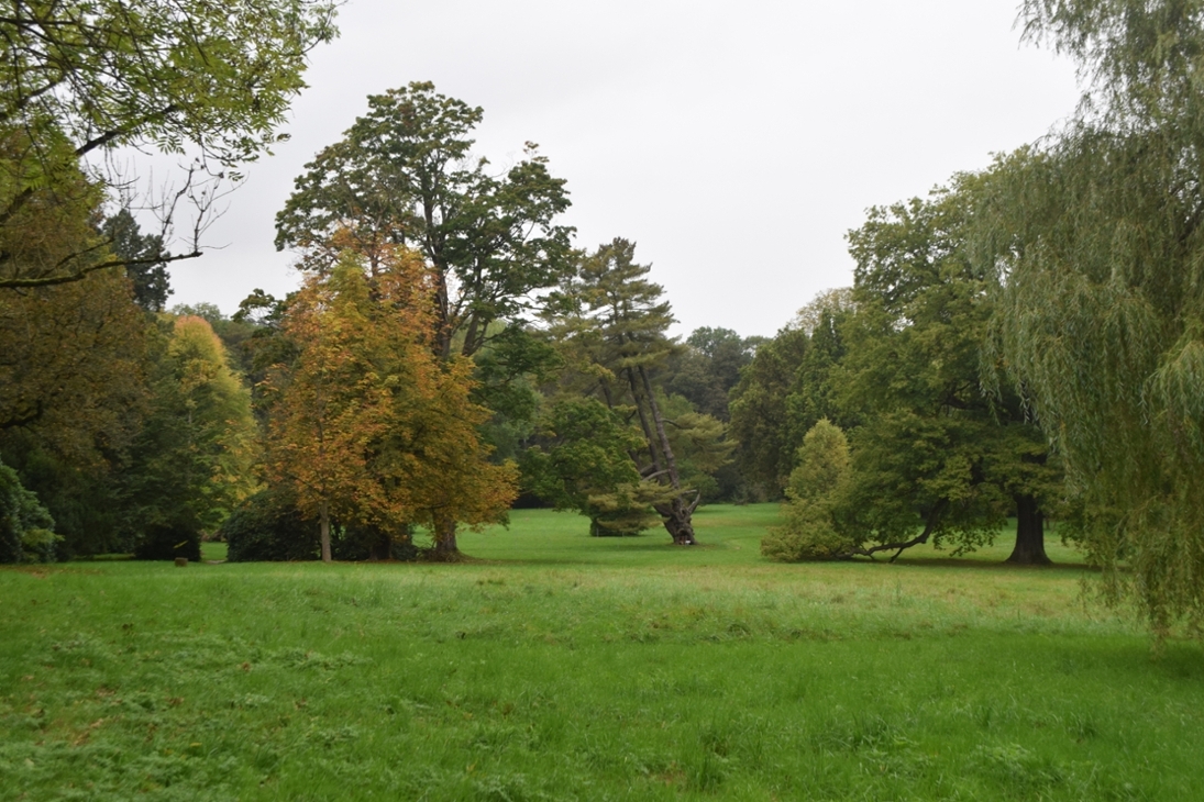 Blick in den Schlosspark Wechselburg