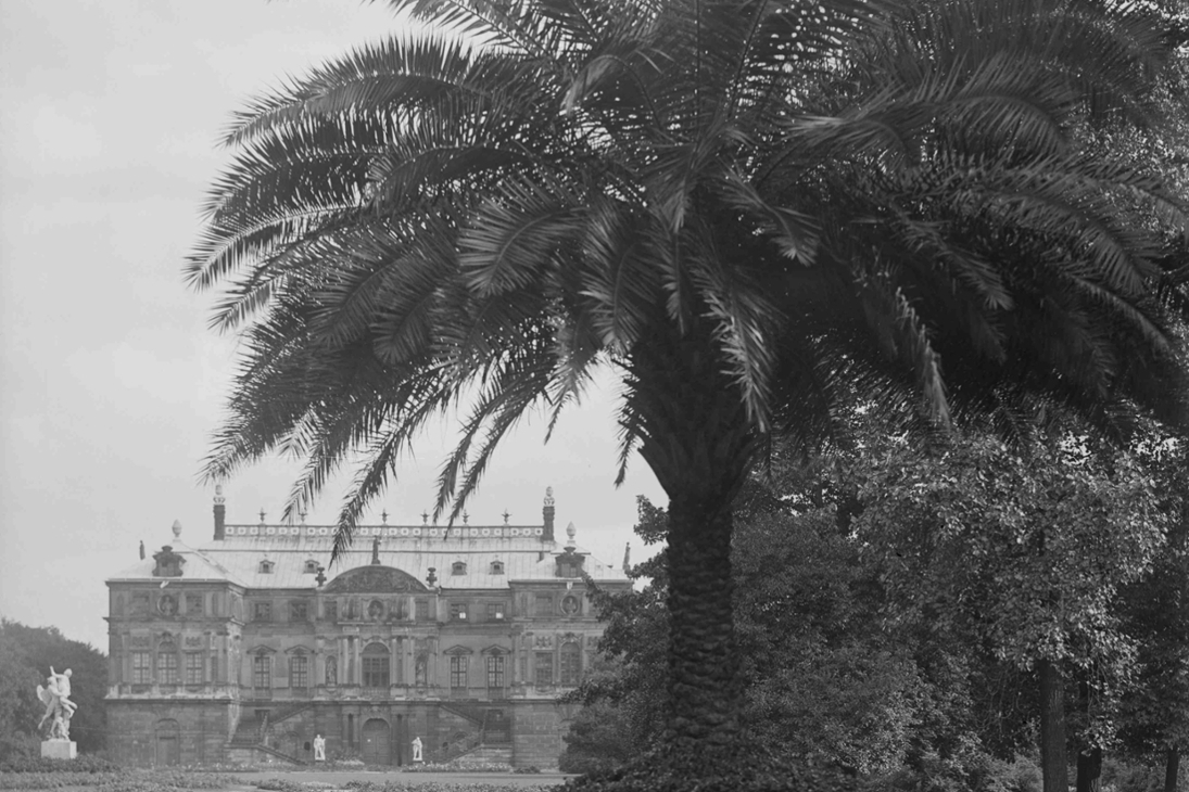 Blick über das Hauptparterre zum Palais im Großen Garten Dresden mit aufgestellten Palmenkübel.