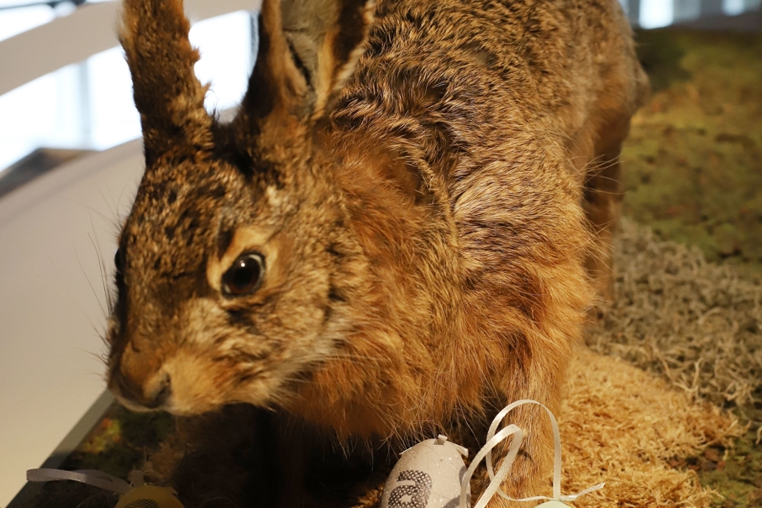 Am Osterwochenende suchen Kinder Eier in der Dauerausstellung des smac.
