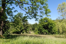 Foto: Blick in den Schlosspark Wechselburg