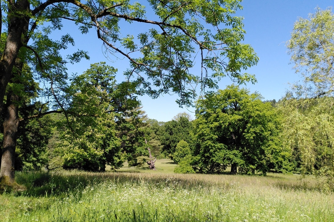 Blick in den Schlosspark Wechselburg