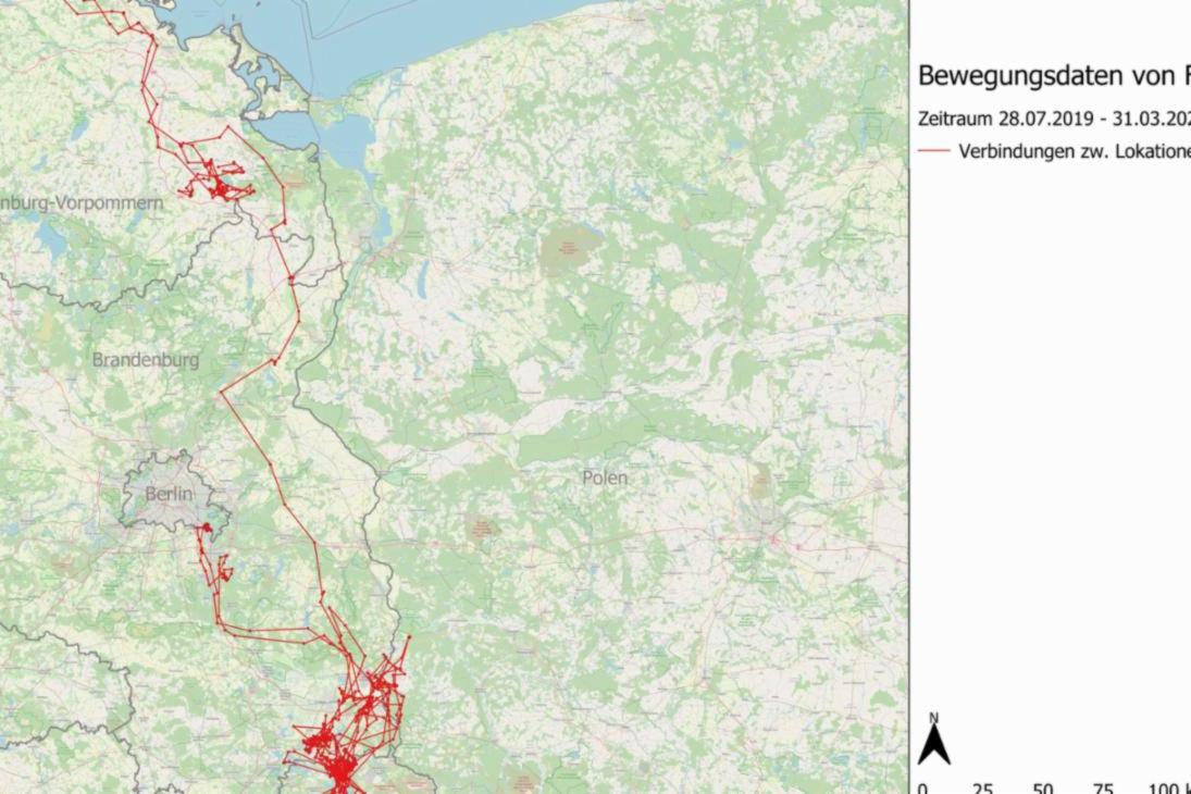 Die Karte dokumentiert alle aufgezeichneten Bewegungsmuster von FT12 &quot;Juli&quot; seit ihrer Besenderung im Juli 2019 bis zum 31.3.2020.