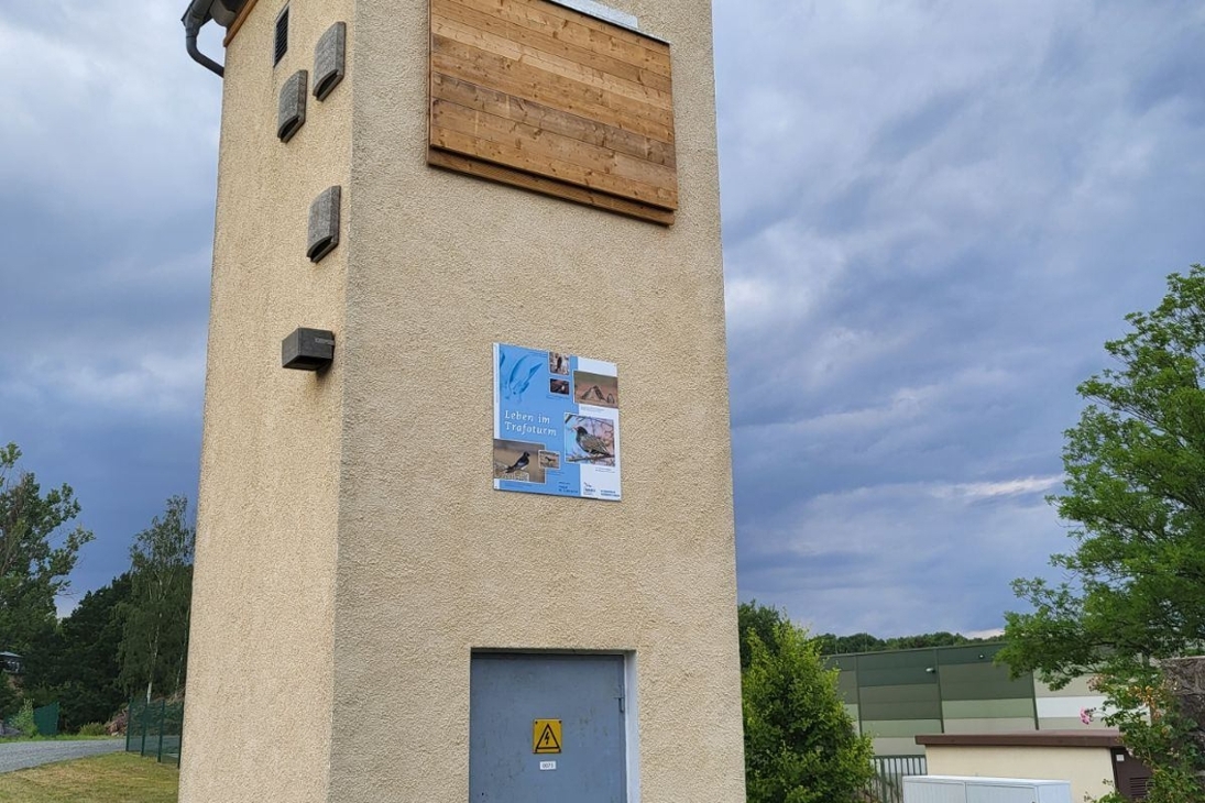 Ein als Fledermausquartier umgebauter Trafoturm.