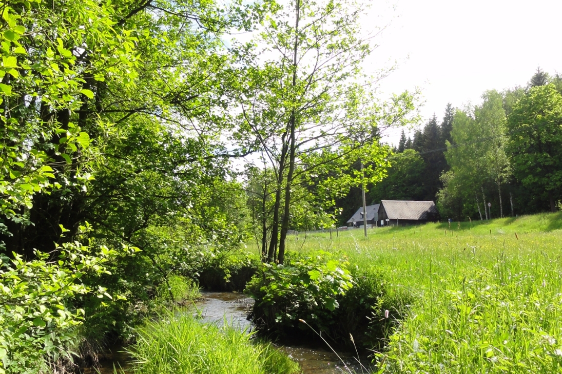 Flussperlmuschel-Lebensraum Rauner Bach