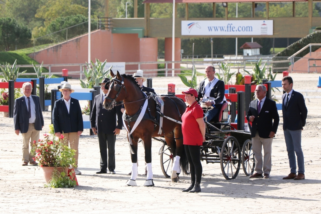 Der fünfjährige Schwere Warmbluthengst VALENTINO v. Veltin aus der Sächsischen Gestütsverwaltung (SGV) an den Leinen von Lars Krüger zur Siegerehrung der WM 2023 in Frankreich.