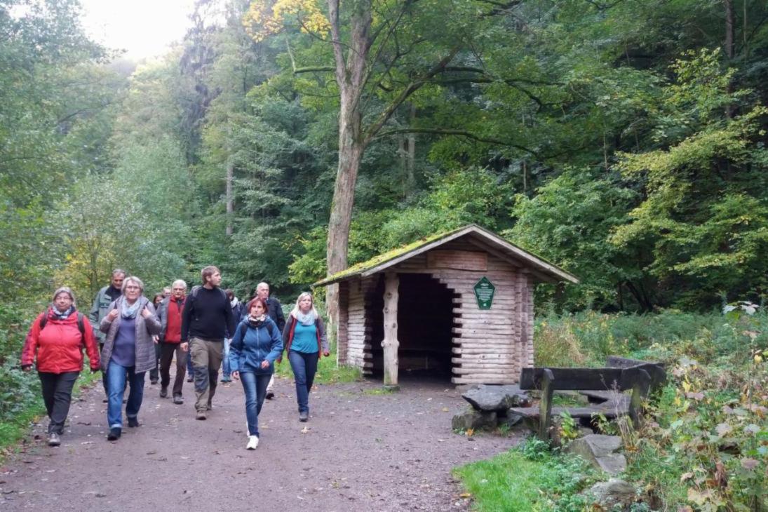 Die Nutzung der Wälder ist mannigfaltig – für Erholungssuchende stellt Sachsenforst auch Bänke und Schutzhütten bereit.