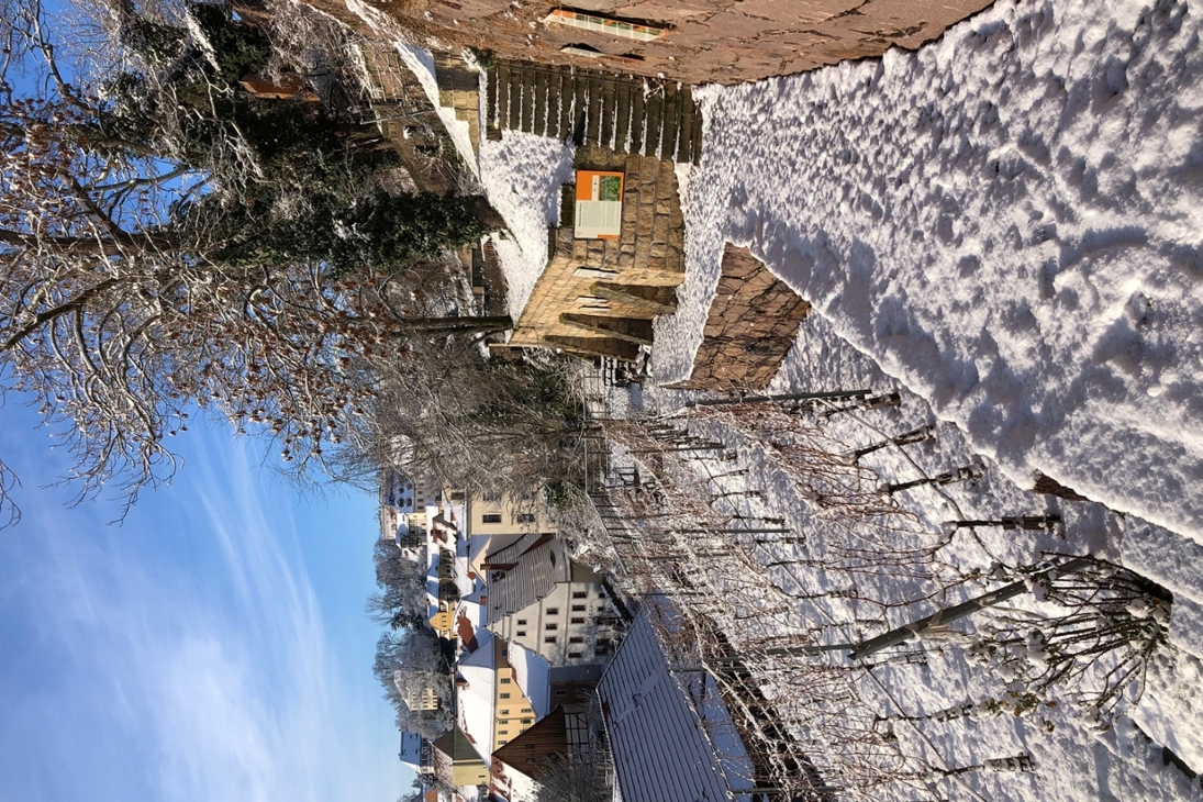 Burgberg Meißen verschneit