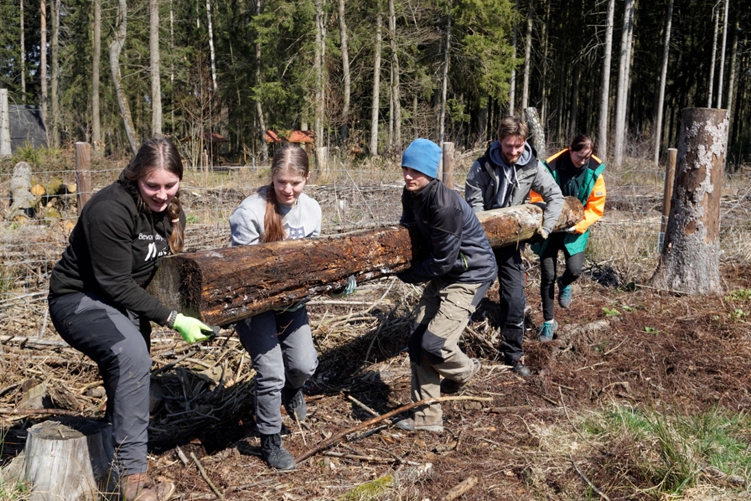 Jugendliche im Freiwilligen Ökologischen Jahr beim Einsatz im Wald