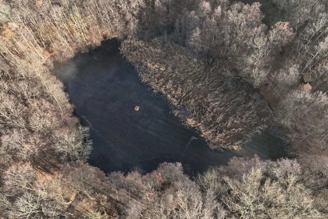 Burgstädtel-Teich (Luftbild)