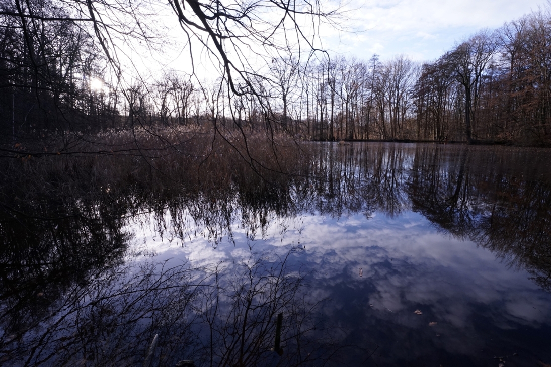 Burgstädtel-Teich
