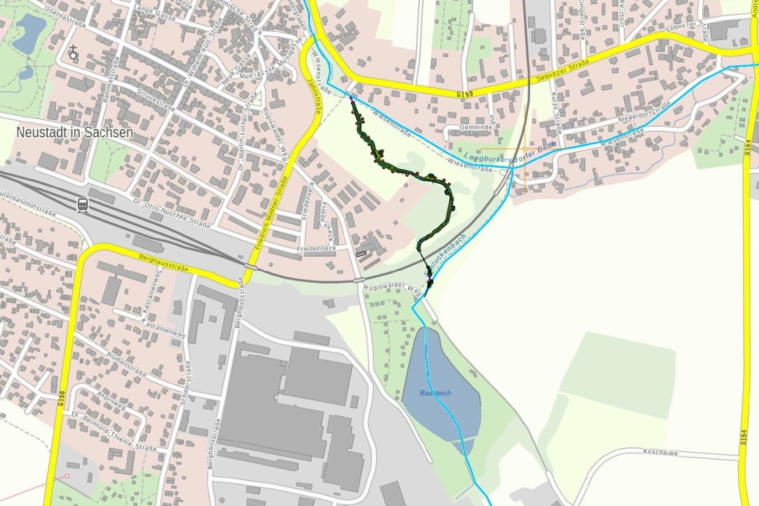 Renaturierung des Schluckenbachs an der Wachewiese, Neustadt in Sachsen