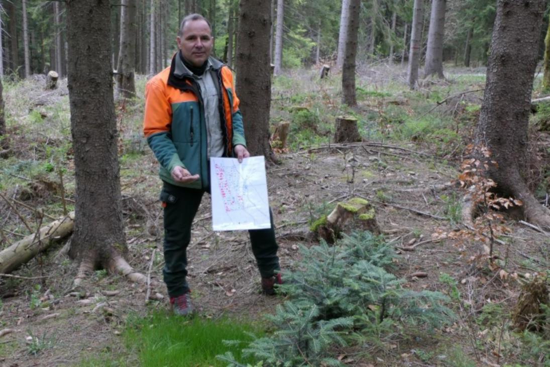 Andreas Pommer in seinem Revier – hier kann sich die Weiß-Tanne ohne Zaun verjüngen