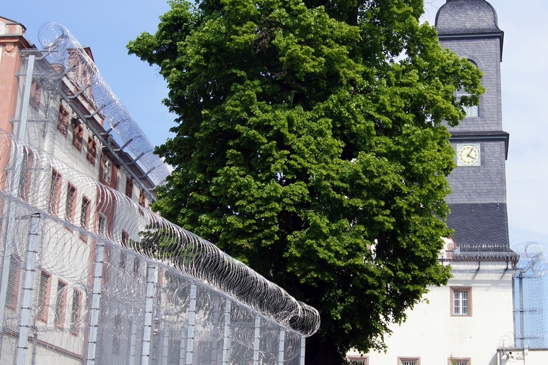Sommerlinde im Schlosshof der JVA Waldheim