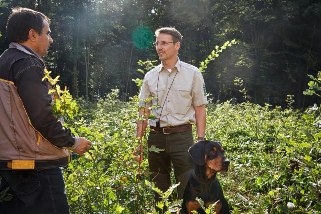 Öffentliche Leistungen wie der Waldumbau, Naturschutzmaßnahmen oder die Unterstützung von Waldbesitzern konnten mit der jetzt erfolgten Finanzierung gesichert werden