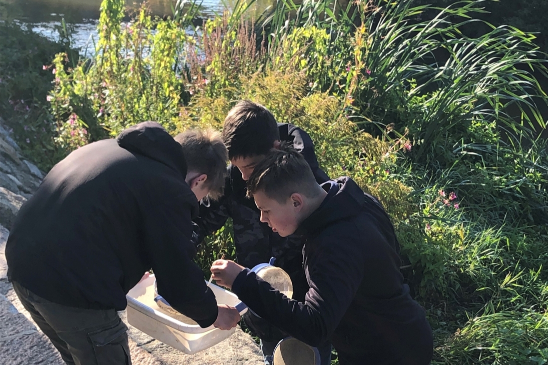Schüler untersuchen, welche Kleintiere sie aus dem Fluss gefischt haben