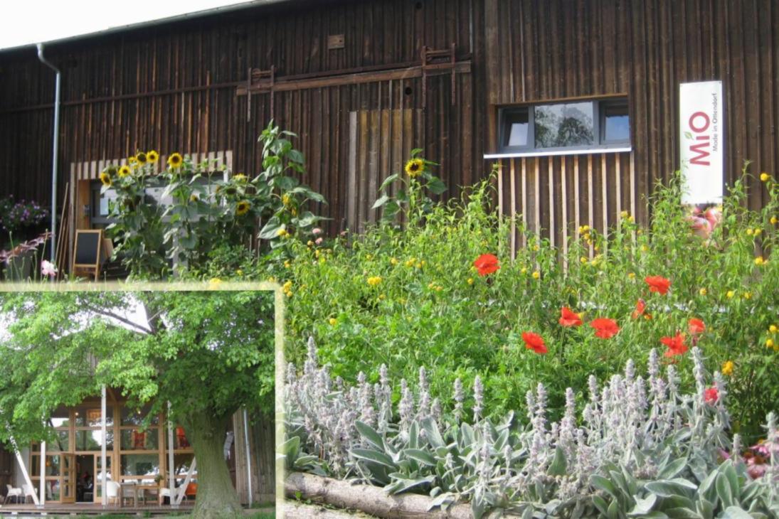 Ausgezeichnete Projektlösung (einer der 1. Preise)
Ausbau einer Scheune zum Empfangsbereich und zur Kantine für den neu eingerichteten Minicampingplatz am Bauernhof (Landkreis Mittelsachsen)
09244 Lichtenau OT Ottendorf, Hohe Straße 28
Bauherrin: Birgit Fischer
