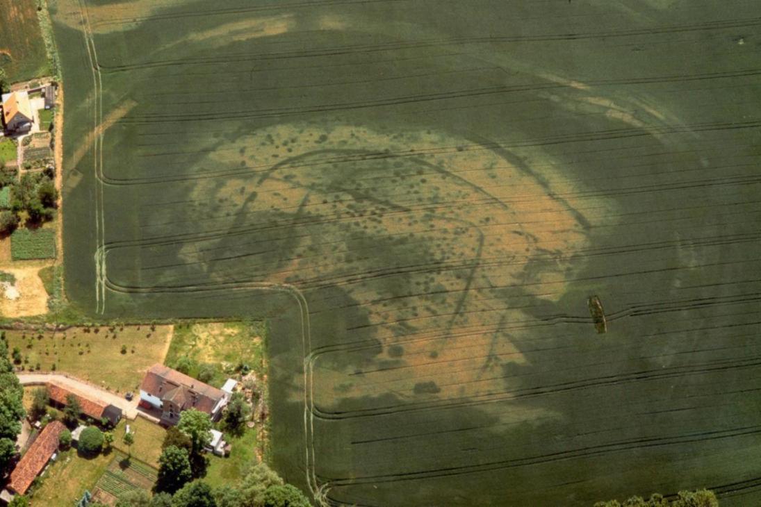 Vielleicht handelt es sich um die in den „Res Gestae Saxonicae“ erwähnte Festung „Gana“, die König Heinrich I. im Jahr 928/929 eroberte. Archäologische Grabungen förderten hier deutliche Brandspuren zu Tage.