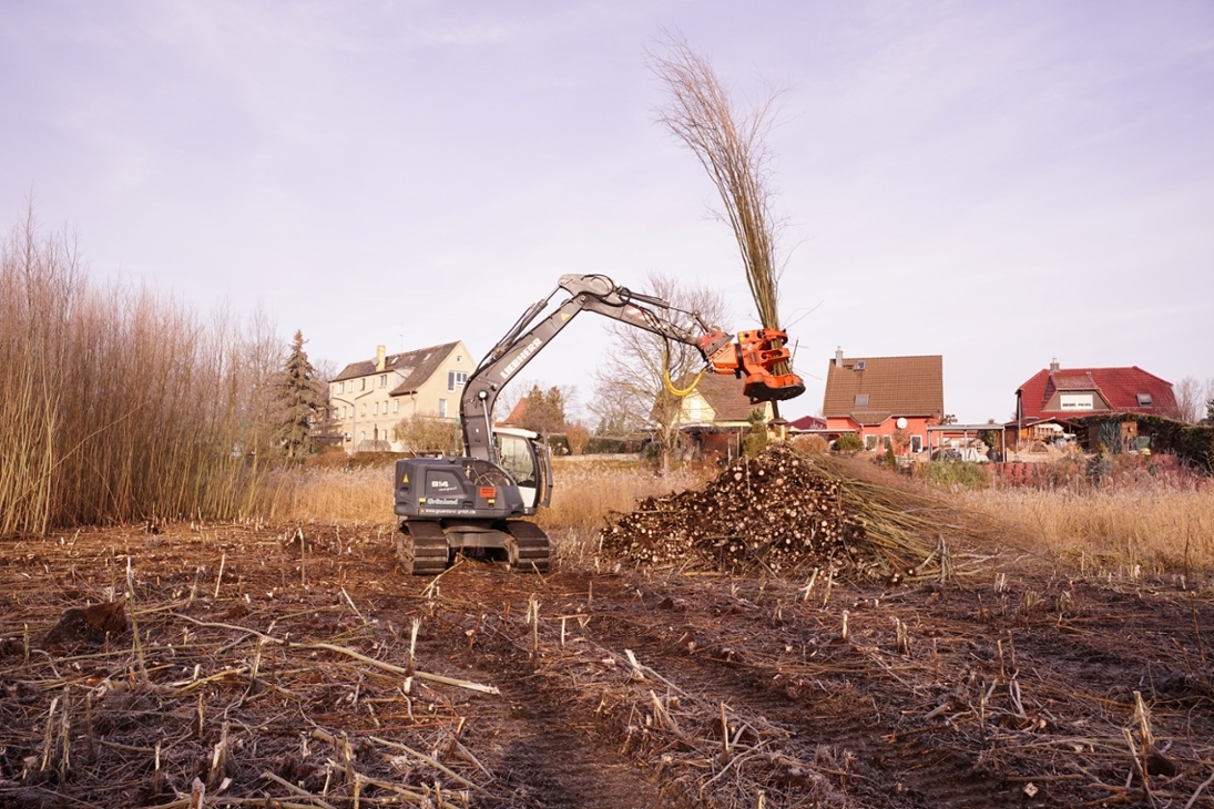 Biotoppflege Kulkwitzer Lachen