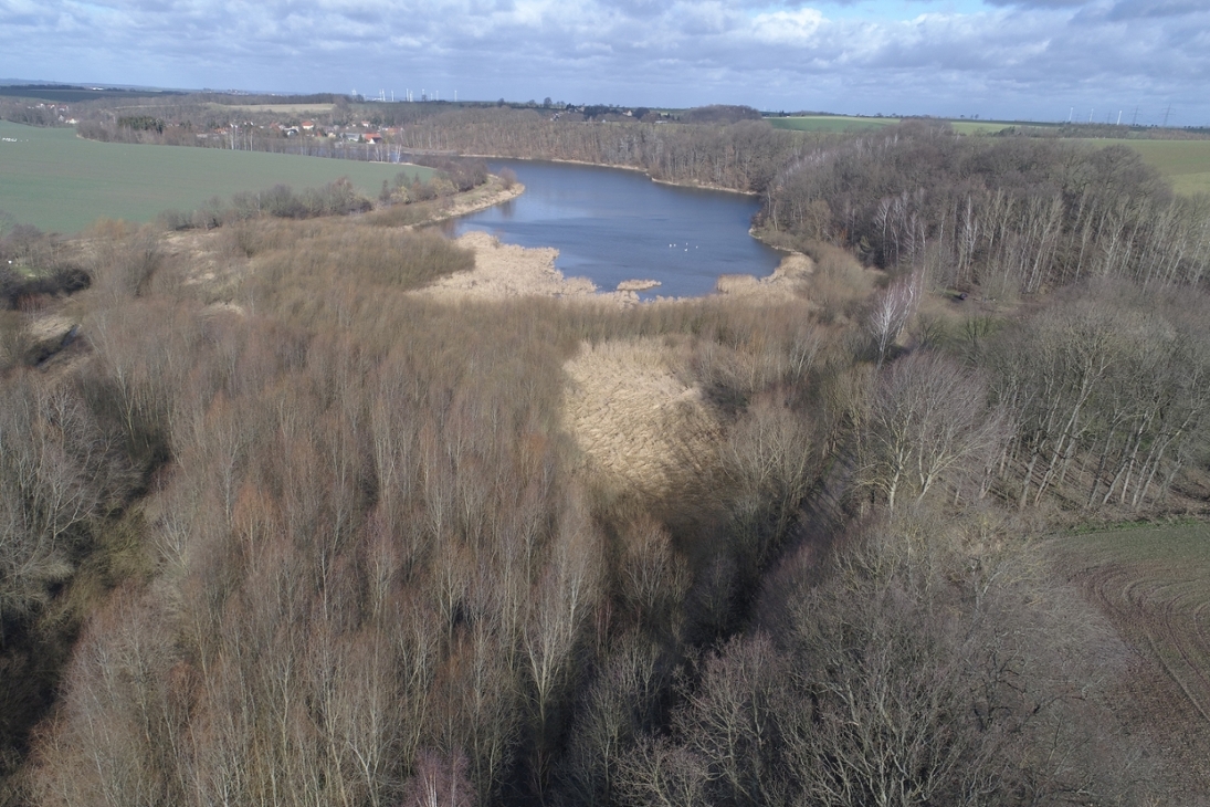 Talsperre Baderitz, Blick über die Stauwurzel Richtung Staumauer