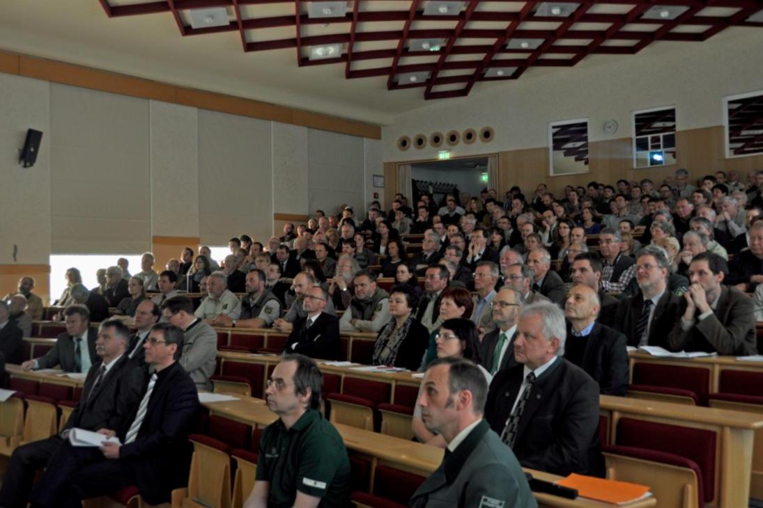 Blick ins Auditorium