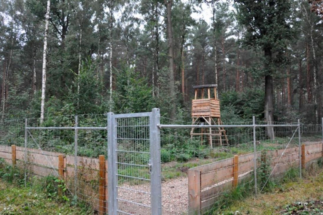 Blick auf das Eingangstor des neuen Schwarzwildgatters.