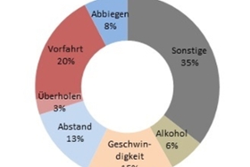 Foto: Abbildung 1 Unfallursachen