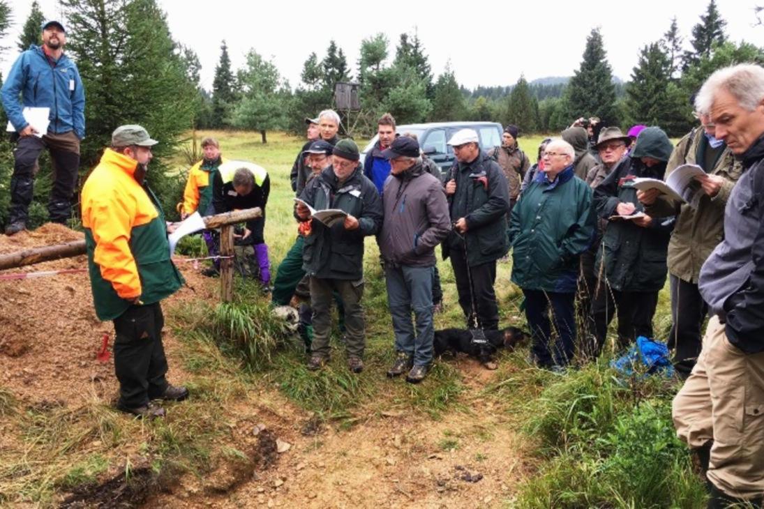 Experten für Bodenkunde und Vegetationskunde begutachten eine Bodengrube im Forstbezirk Marienberg.