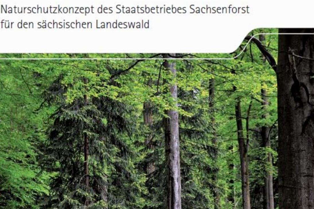 Titelbild des Naturschutzkonzeptes von Sachsenforst