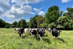 Foto: Beweidungsmaßnahmen fördern das Tierwohl und sind Elemente einer naturschonenden Grünlandbewirtschaftung