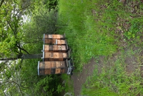 Foto: Gestohlene Bienenbeuten am Störmthaler See
