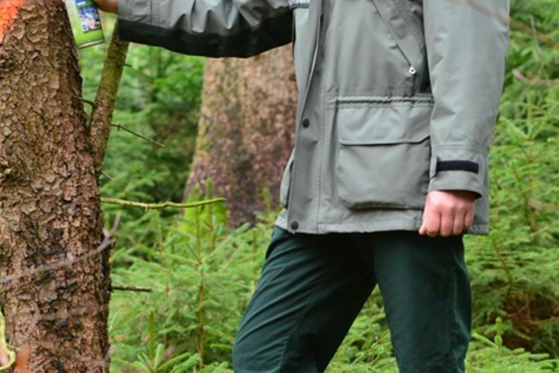 Falk Unger ist der Leiter des Revieres Torfhaus im Forstbezirk Eibenstock, eines von elf neuen Revieren im Landeswald von Sachsenforst.