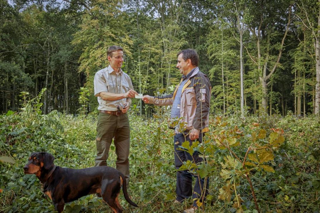 Sachsenforst informiert private Waldbesitzer zu Fragen der Waldbewirtschaftung - direkt im Wald oder im Internet unter www.sachsenforst.de.