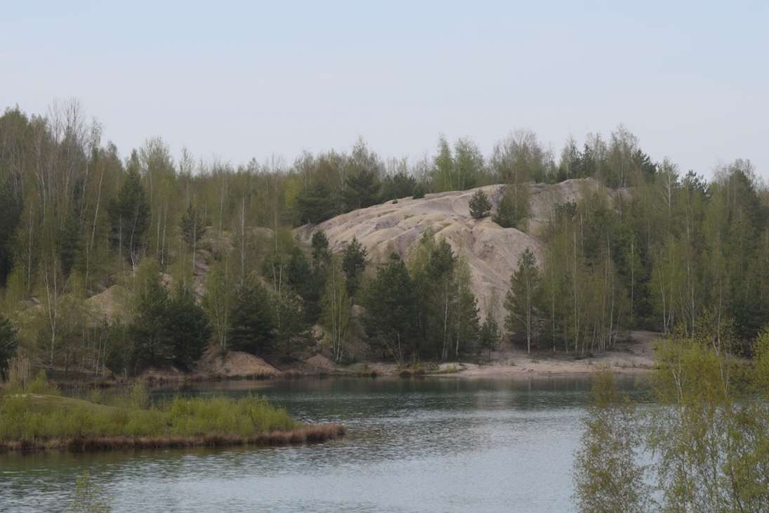 Der Bockwitzer See ist zu großen Teilen Eigentum der LaNU. Offenland und Rohbodenstandorte am Bockwitzer Seet