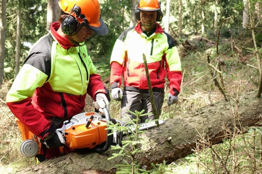 Junge Forstwirtin beim Entasten eines gefällten Baumes