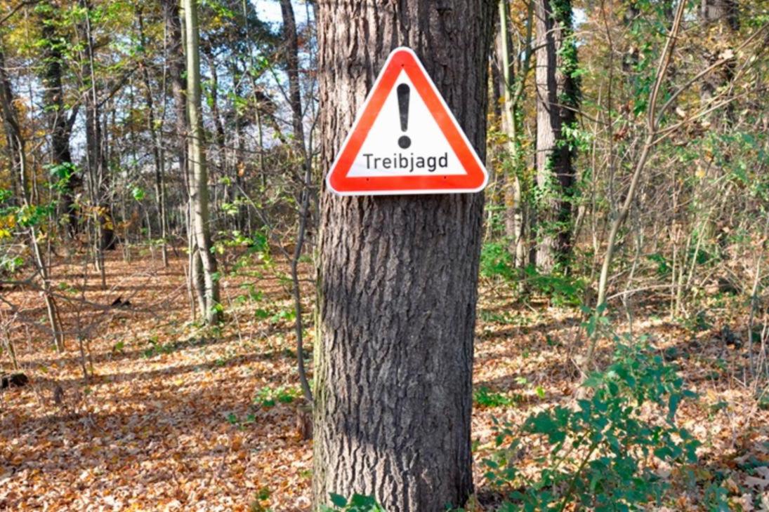 Schild im Wald mit Ausrufezeichen und der Aufschrift Treibjagd