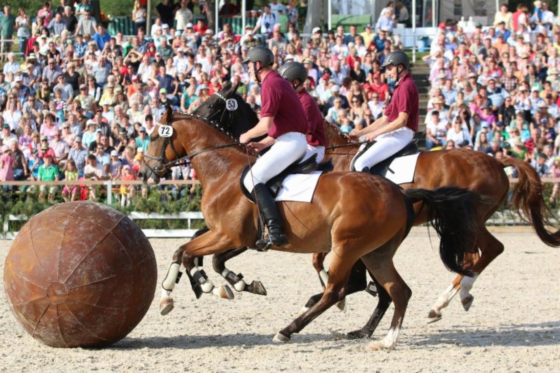 Pushballspiel (Pferdefußball) der Lehrlinge
