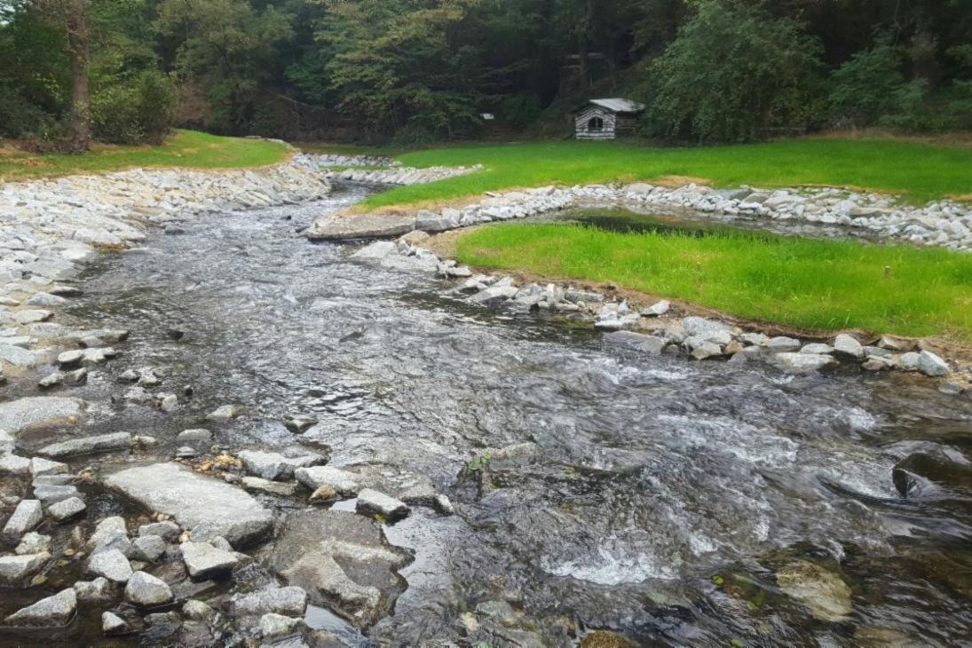 Wehr Stenz / Grünmetzmühle nach dem Umbau