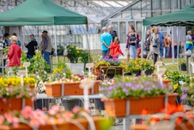 Foto: Impression vom Pillnitzer Gartentag 2024