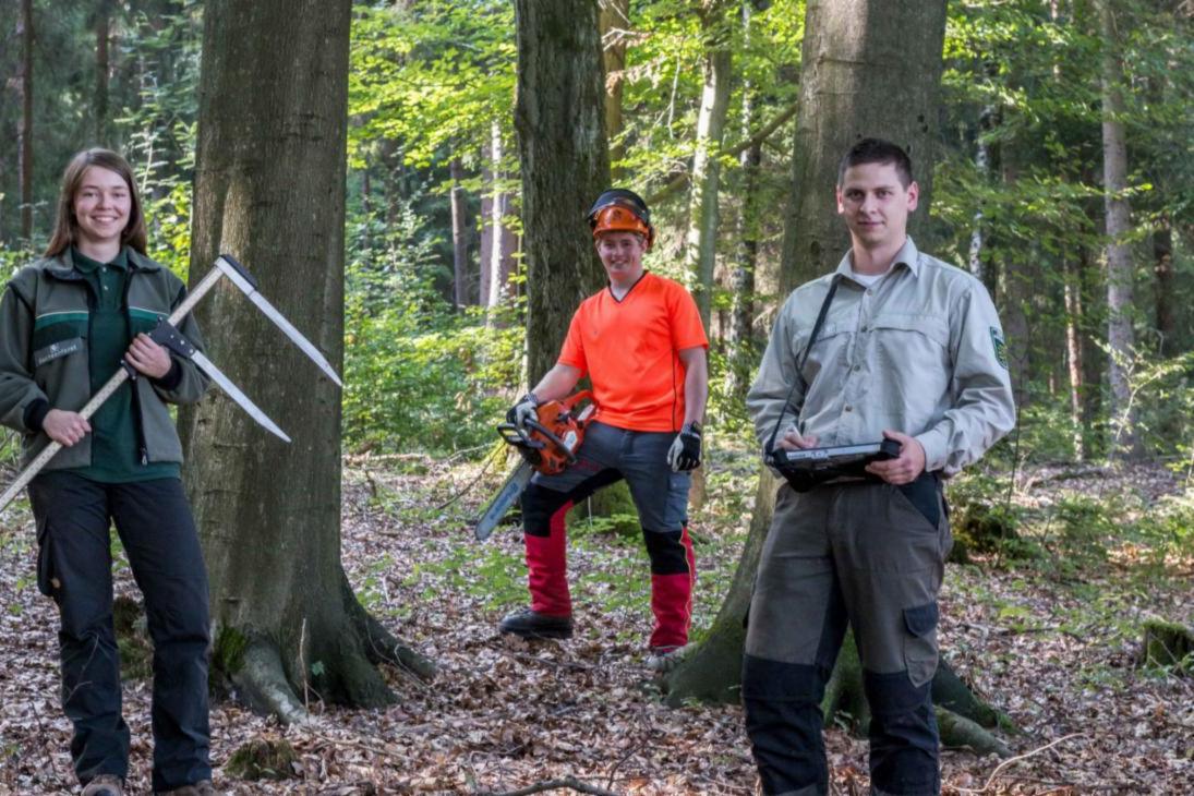 Der Wald bietet abwechslungsreiche und vielfältige Jobperspektiven