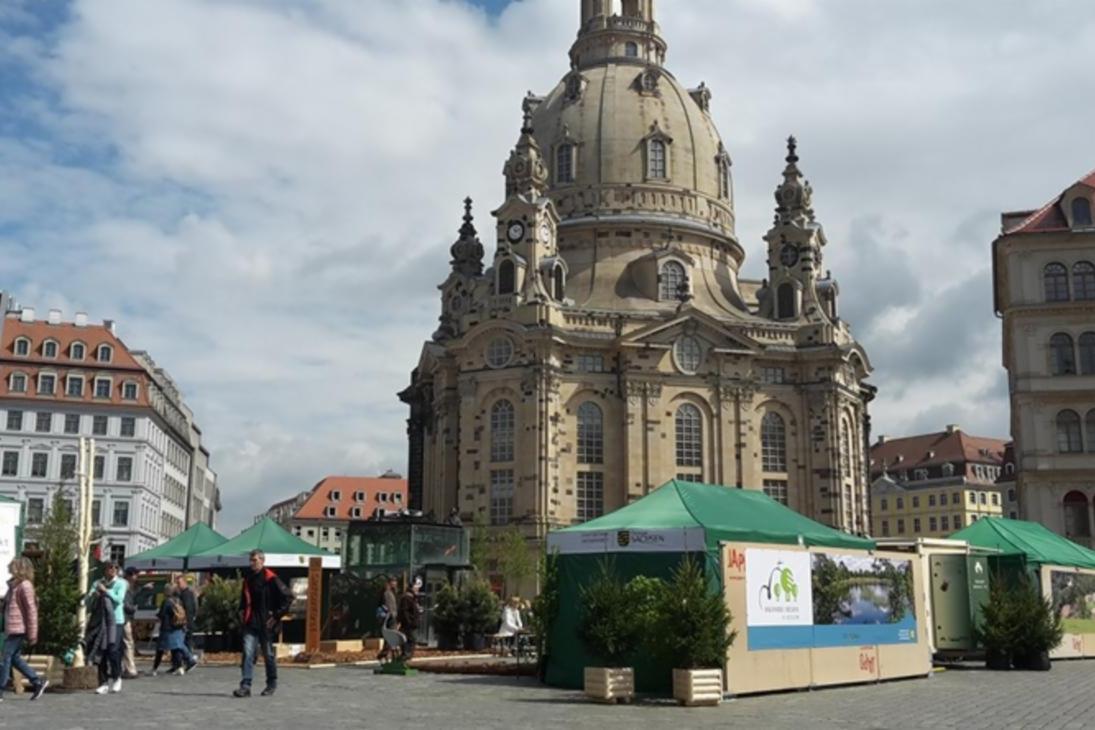 Vor der Frauenkirche ist ein Waldmarkt mit buntem Markttreiben aufgebaut.