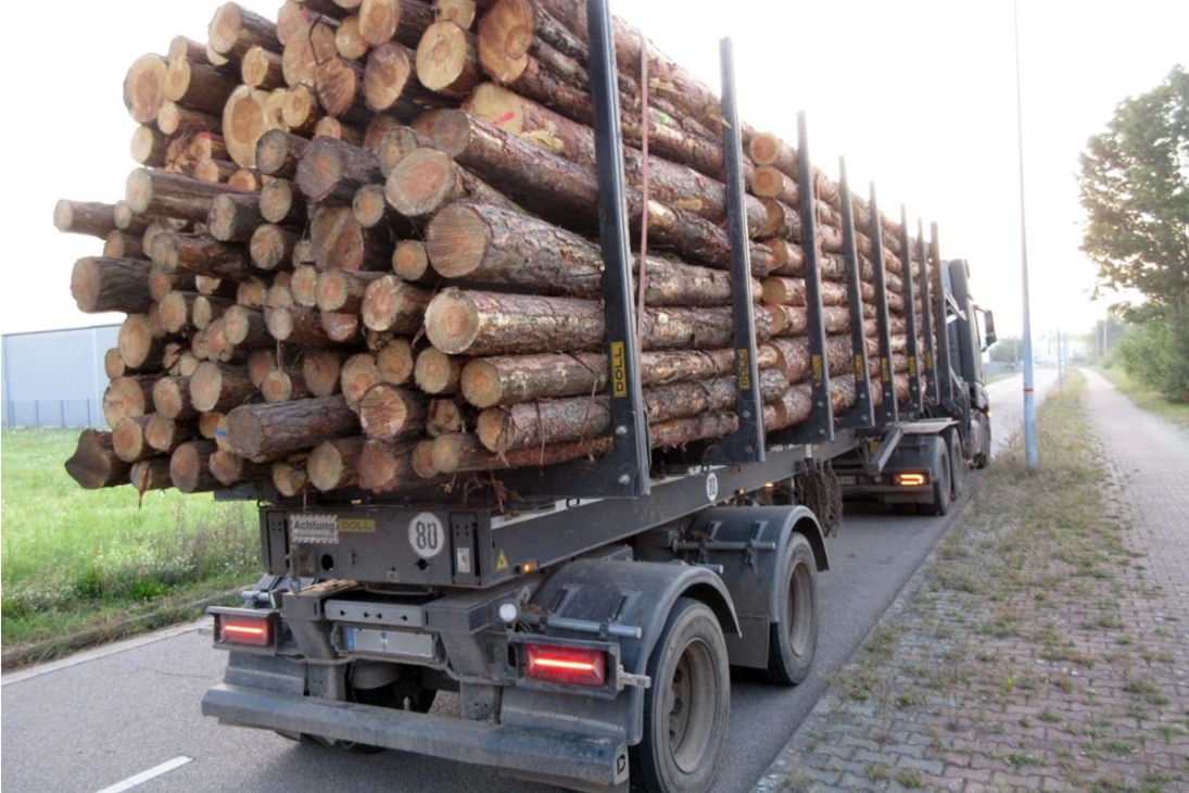 Bild des Transporters zur Meldung &quot;Überladener Holztransporter&quot;