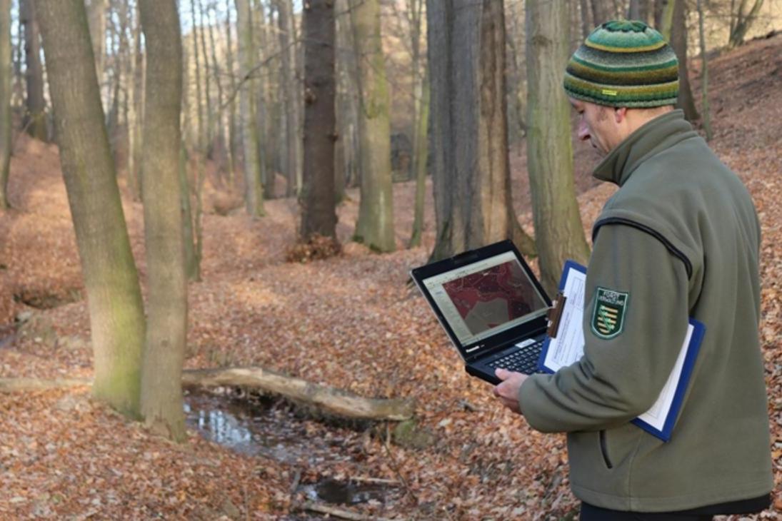 Ein Mitarbeiter von Sachsenforst prüft ein im Rahmen der Waldbiotopkartierung erfasstes Biotop.