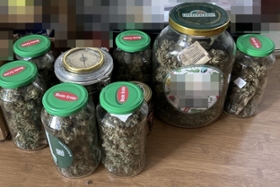 Foto: Sichergestelltes Cannabis