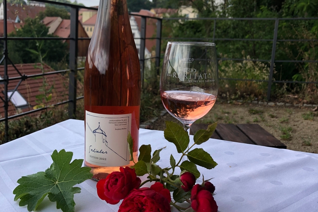 Der Schieler, ein Produkt vom ökologischen Weinberg In Meißen