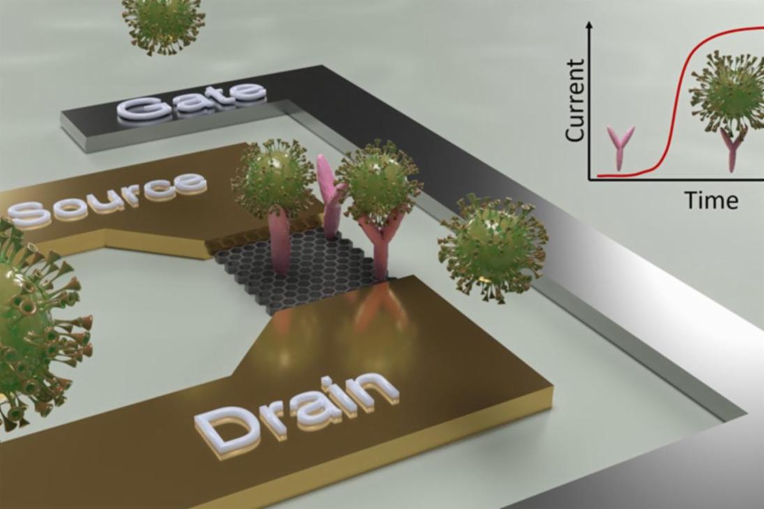 Schematische Darstellung des Konstruktionsprinzips eines Sensors zum Direktnachweis von SARS-CoV-2-Viren